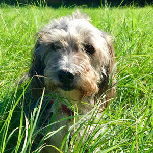 Meet your Posher, Kellyann